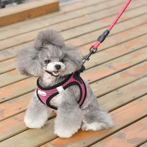 Reflective Nylon Dog Leash with Chest Strap & Comfortable Control