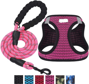 Reflective Nylon Dog Leash with Chest Strap & Comfortable Control